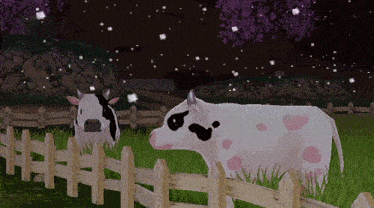 two cows standing in a field behind a fence