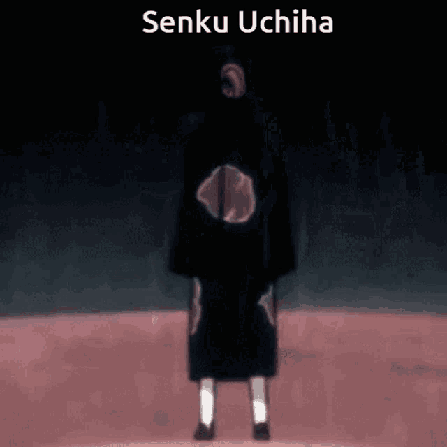 a picture of a person with the name senku uchiha
