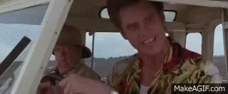 Ace Ventura Jim Carrey GIF - Ace Ventura Jim Carrey Bumpy GIFs