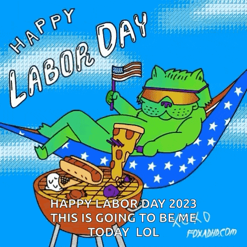 a cartoon of a cat laying in a hammock holding a pizza and a flag .