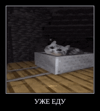 a picture of a cat in a box with the words уже еду on the bottom