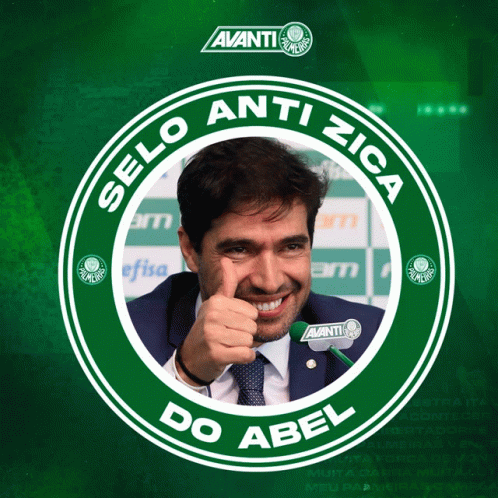 Zica Palmeiras GIF