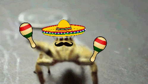 Hat Spider GIF - Hat Spider Mexican GIFs