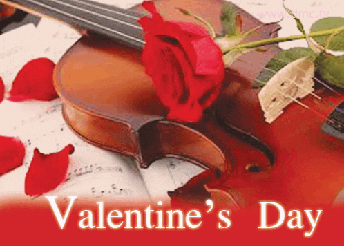 a valentine 's day greeting card with a violin and rose