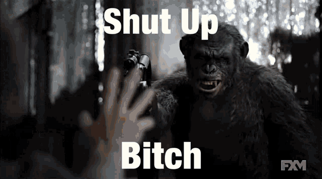 a close up of a monkey holding binoculars with the words shut up bitch below it