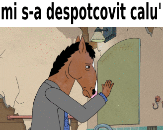 a cartoon of a horse looking in a mirror with the caption mi s-a despotcovit calu '