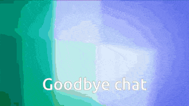 a computer screen says goodbye chat on it