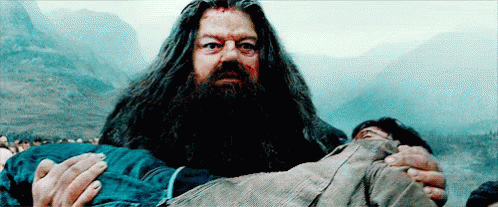 Carrying Harry GIF - Hagrid Harry Potter GIFs