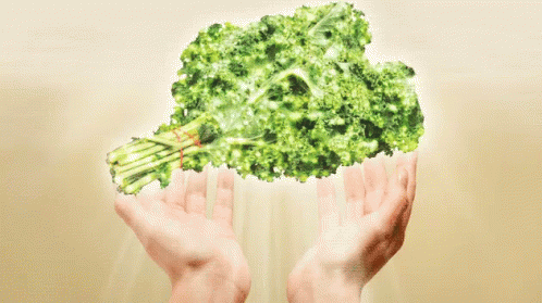 Holy Kale GIF - Holy Kale Kale Super Food GIFs