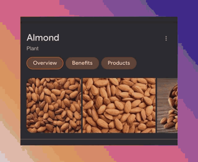 Almond Almond Cutest GIF - Almond Almond Cutest Almond Qtest GIFs