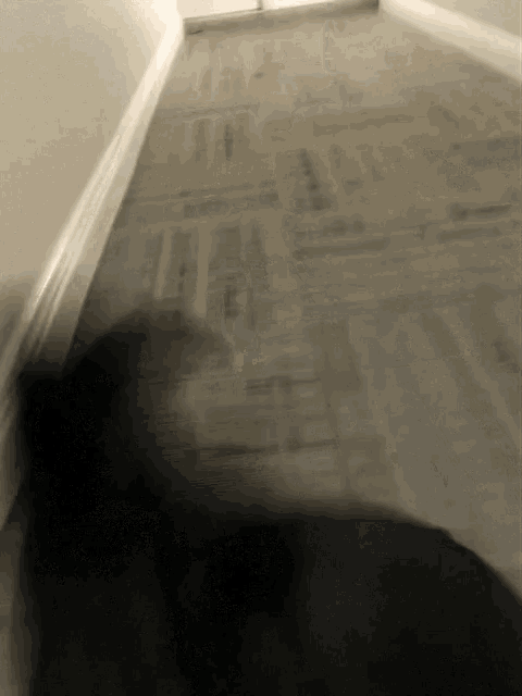 a shadow of a person is cast on the floor of a room