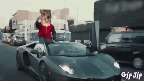 a gif of a squirrel on top of a car with the gif jif written below it