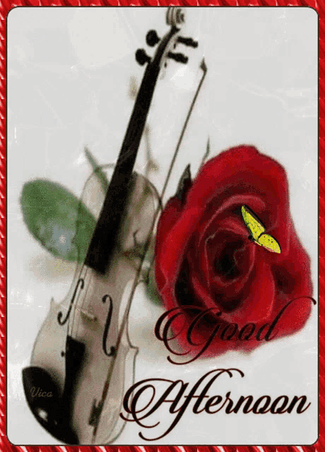 a picture of a violin and a red rose with the words good afternoon