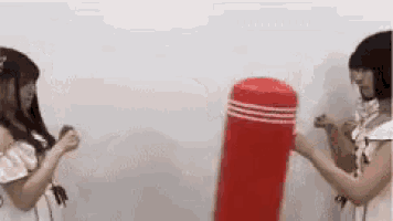 two women are standing next to each other holding a red punching bag .