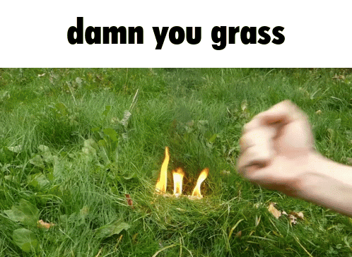 Upisnotjump Grass GIF - Upisnotjump Grass GIFs