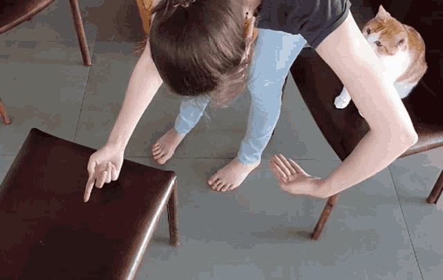 a cat sits on a chair next to a woman 's arm