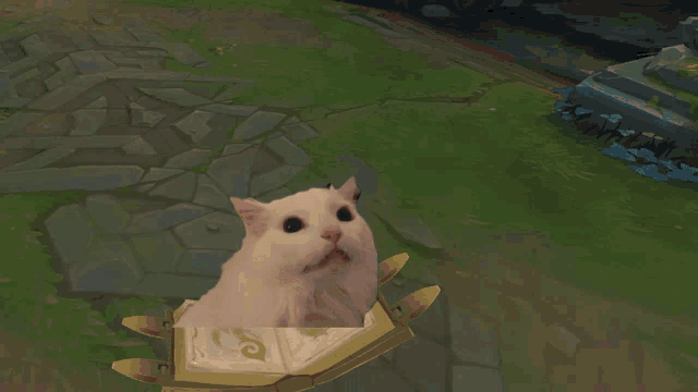 a cartoon of a cat holding a sword with a blink speech bubble above it