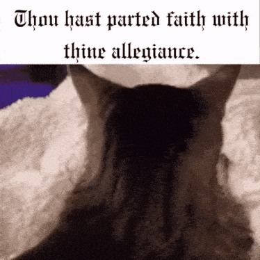a cat is laying on a bed with the words " thou hast parted faith with thine allegiance " above it