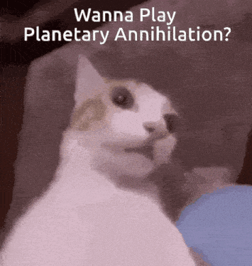 a cat with the words wanna play planetary annihilation written on it