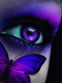 Butterfly Eye GIF