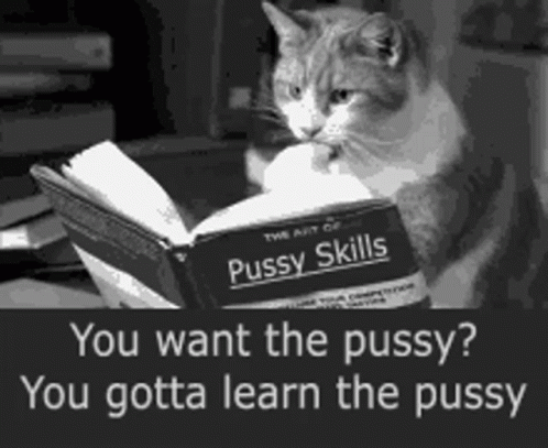 Pussy You Want The Pussy GIF - Pussy You Want The Pussy You Gotta Learn The Pussy GIFs