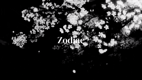 a black and white photo of flowers with the word zodiac in white