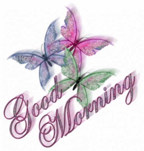 Good Morning Butterfly GIF - Good Morning Butterfly Glitters GIFs