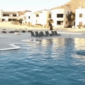 Surfing Pool GIF - Surfing Pool GIFs