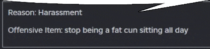 a speech bubble with the words reason harassment and offensive item stop being a fat cun sitting all day