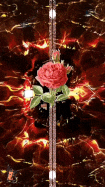a painting of a red rose on a red background