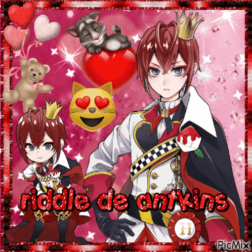 a picture of a red haired anime character with the name riddle de orkins on the bottom