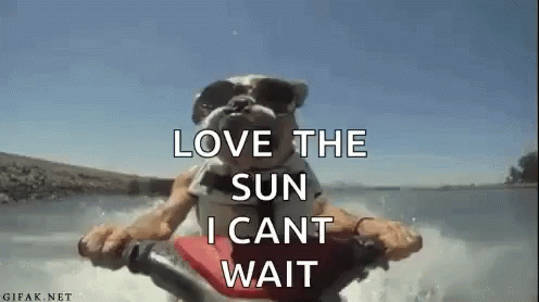 Beach Dog GIF - Beach Dog Sun GIFs