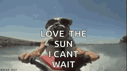 a dog is riding a jet ski on a lake .