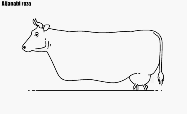 a black and white line drawing of a cow with the name alija nabi roza on the bottom