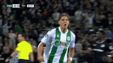 a soccer player in a green and white jersey celebrates a goal during a game