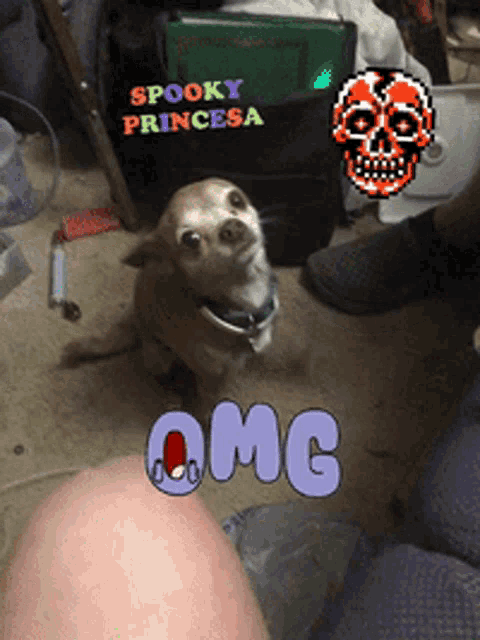 a picture of a dog with a skull and the word omg on it