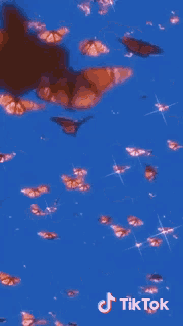 a bunch of butterflies are flying in the sky on a blue background .