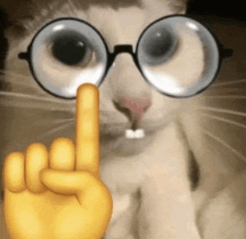 a close up of a cat wearing glasses and a hand giving the middle finger .