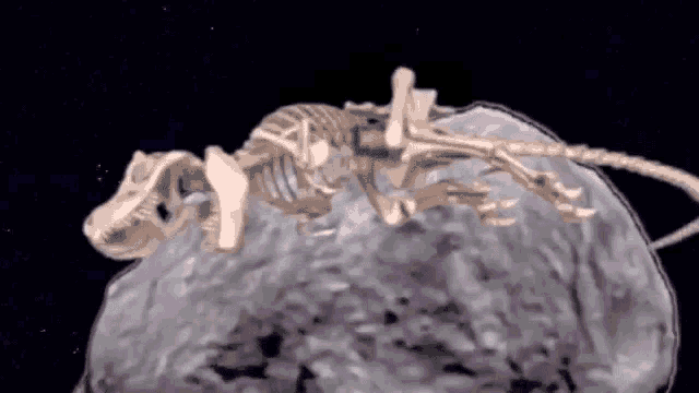 a skeleton is laying on top of a large rock