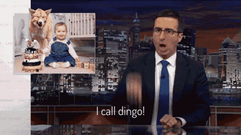 a man in a suit and tie says " i call dingo " in front of a picture of a baby and a dog