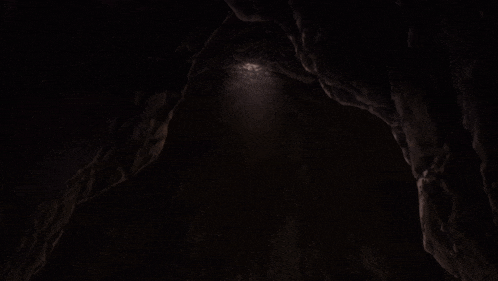a dark brown background with a few spots of light