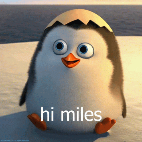 Hi Miles Penguin GIF - Hi Miles Penguin Squidders GIFs