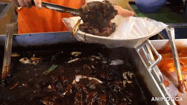 a person is pouring a sauce into a white plate which says made in animonica