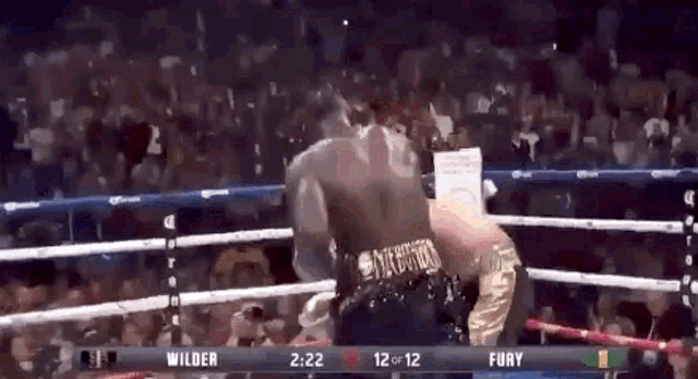 Tyson Gets Up Tyson Fury Ko GIF