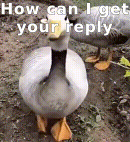 How Can I Get Your Reply GIF - How Can I Get Your Reply GIFs