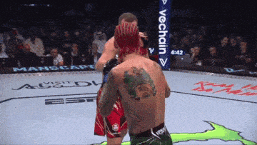 two men are fighting in a ring with a sign that says vechain on it
