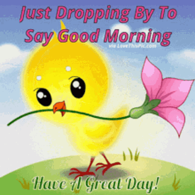 a picture of a chick holding a flower with the words just dropping by to say good morning