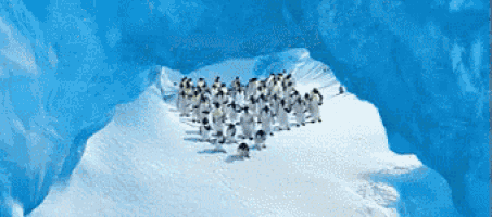 a group of penguins standing on top of a snowy hill