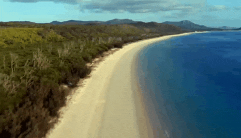 an aerial view of a long sandy beach surrounded by mountains and trees