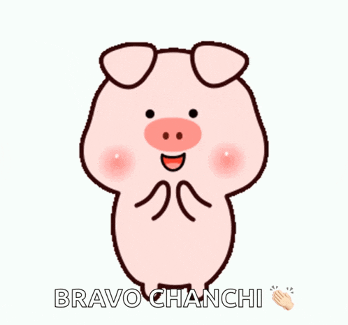 a picture of a pig with the words bravo chanchi on the bottom